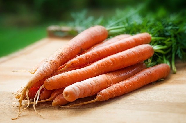Dürfen Kaninchen Karotten essen