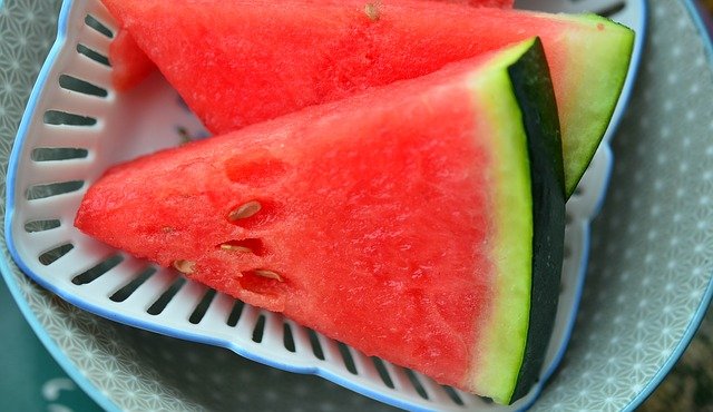 Dürfen Bartagamen Wassermelone essen