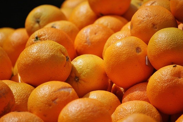 Dürfen Bartagamen Orangen essen