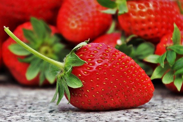 Dürfen Bartagamen Erdbeeren essen