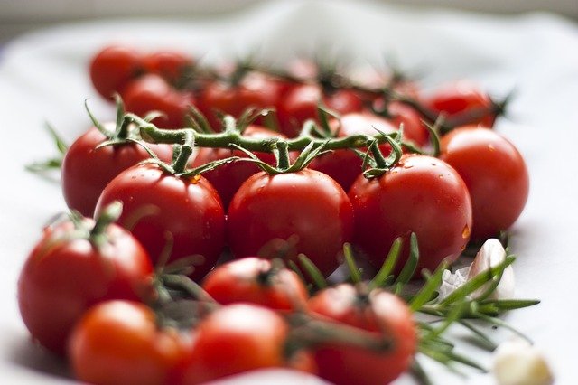 Dürfen Bartagamen Tomaten essen