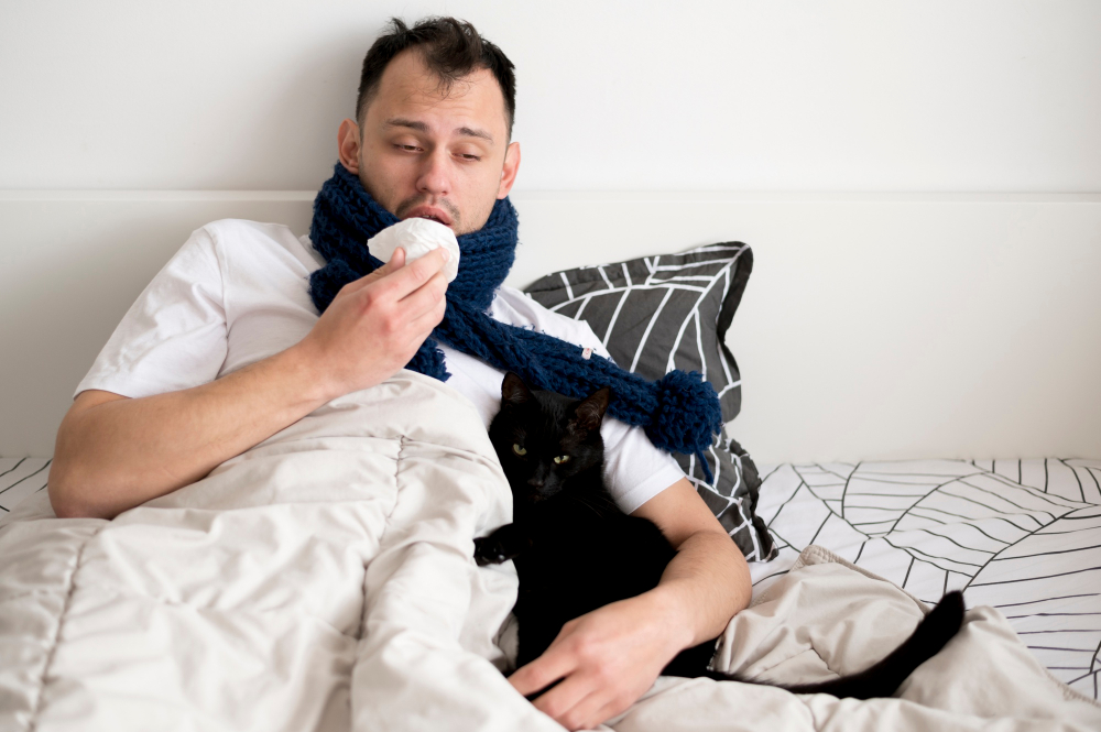 Merken Katzen wenn man krank ist
